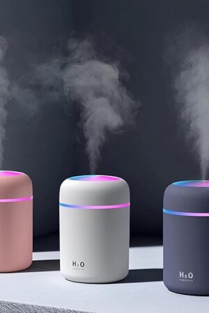 H2O Humidifier